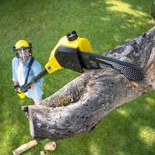 Best Organic Lawn Care Solutions  in Ly Lake, IL